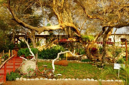 Hostal Rochabus