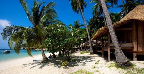 Charming Apartment Within Bahia Principe 5*