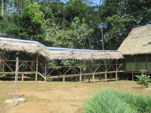 Jungle Explorer Lodge