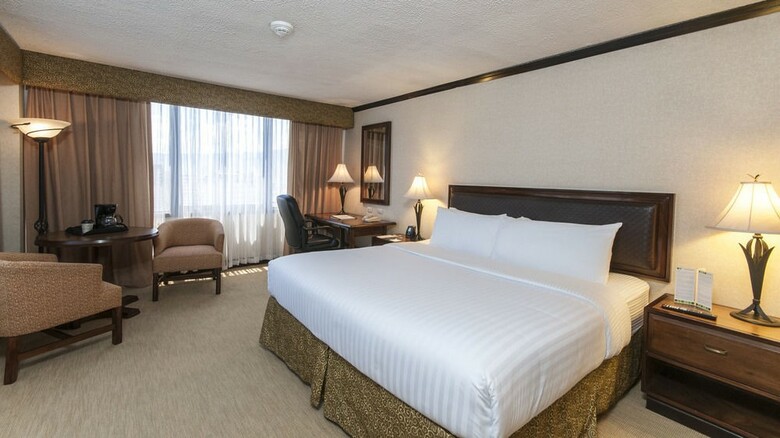 Hotel Holiday Inn San Jose-aurola