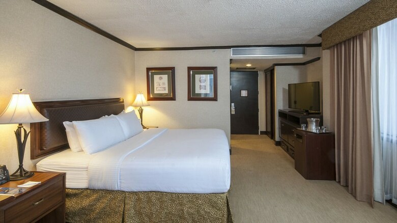 Hotel Holiday Inn San Jose-aurola