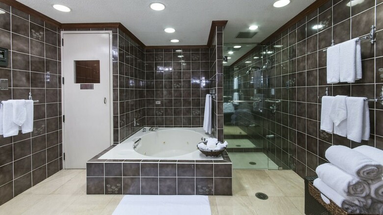 Hotel Holiday Inn San Jose-aurola
