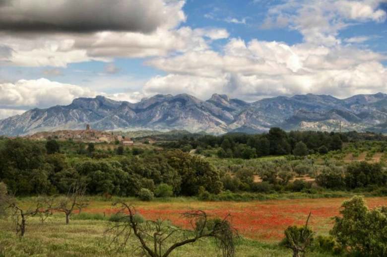 Agroturismo Cal Gorro