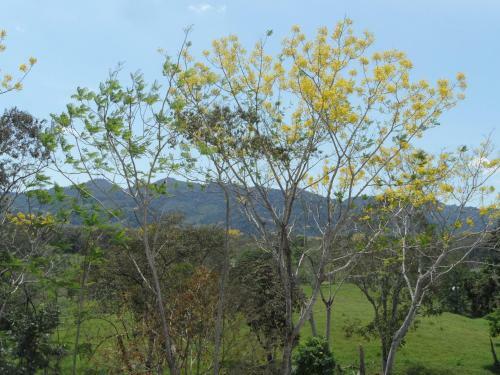 Posada Auto Hotel Para�so Inn