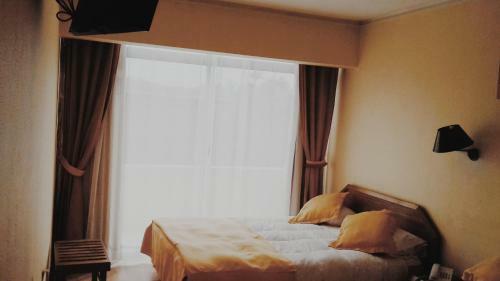 Hotel Plaza Los Andes