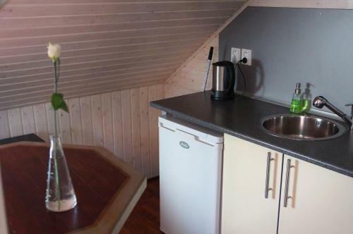 Apartm�ny Rud�k