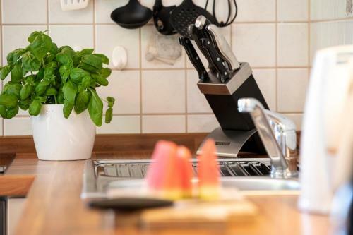 Apartamento Haus Talblick