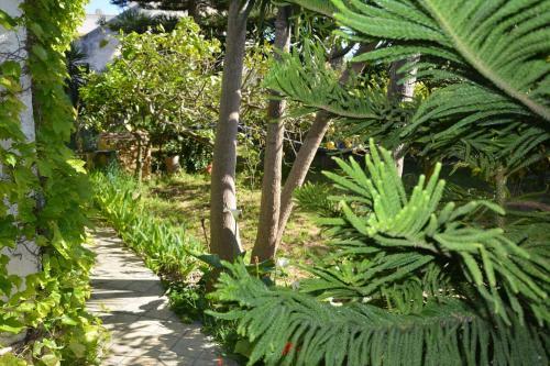 Apartamento Tra Il Verde E Il Mare