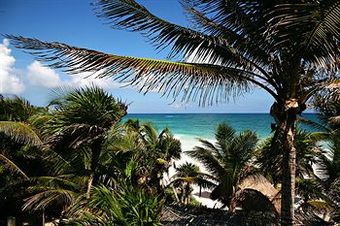 Las Ranitas Eco Boutique Hotel