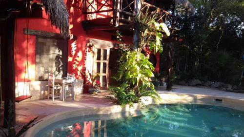 Bed & Breakfast Casa Selva Orquideas