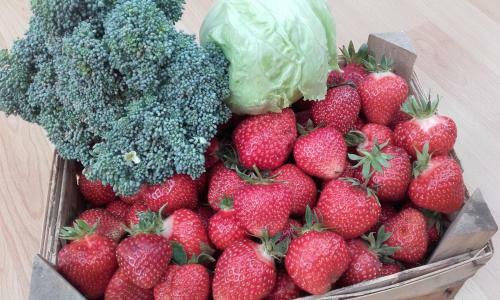Agroturismo Ferienhof Mairulrich