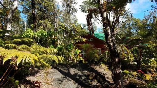 Hostal Alii Kane Cottage With Loft