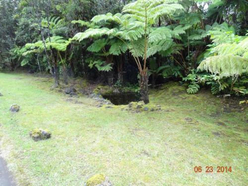 Hostal Alii Kane Cottage With Loft