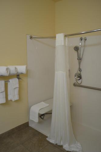 Hotel Best Western Sherwood Inn And Suites - North Little Rock