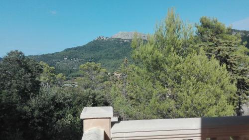 Villa Can Marquesi