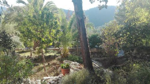 Villa Can Marquesi