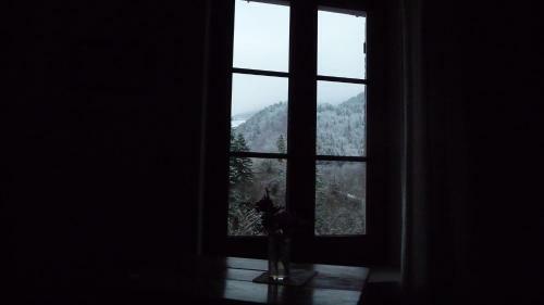 Bed & Breakfast La Chouette � L'heure Du Pinson