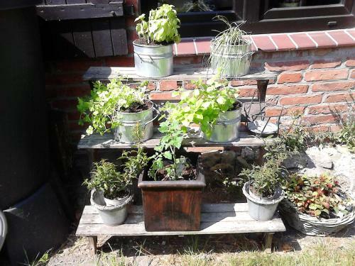 Hostal Zum Alten Krug