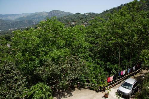 Bed & Breakfast L' Arancio In Fiore
