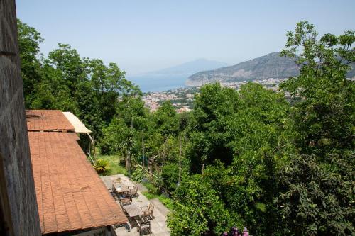 Bed & Breakfast L' Arancio In Fiore