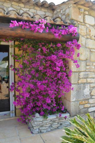 Bed & Breakfast Mas Lou Souleil