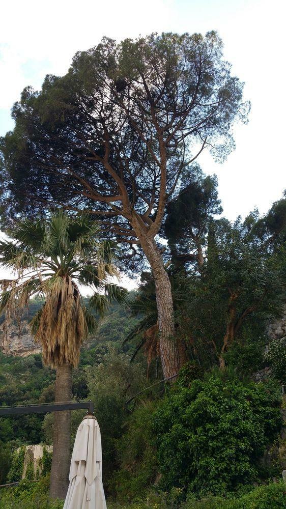 Hotel Villa Annalara