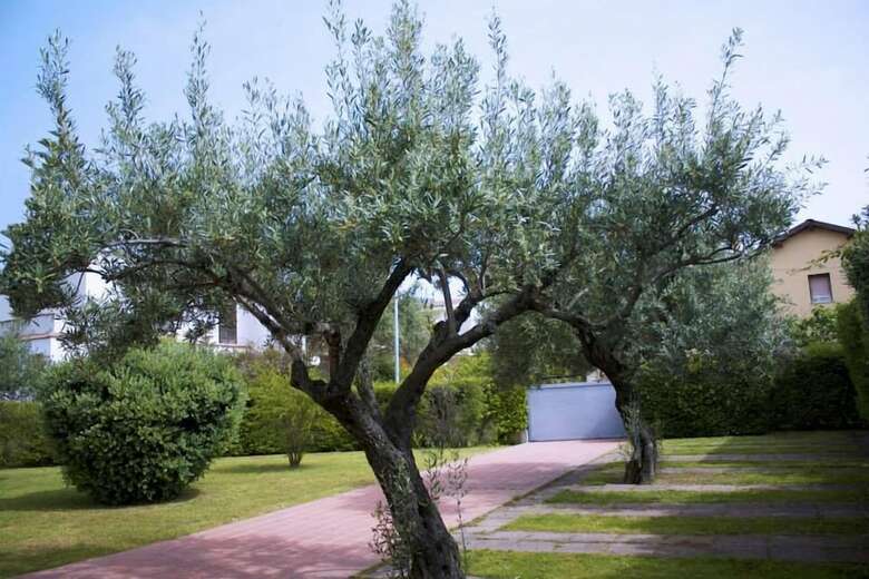 Apartamento Residence Rivamare