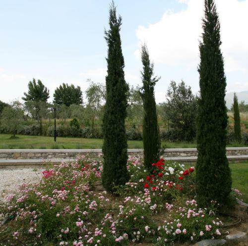 Casa Vacanza Podere Chiantini