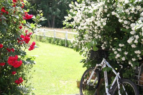 L'atelier de Campagne Aux Aires En Sc�nes