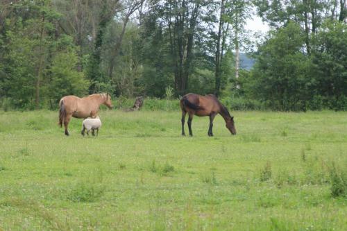 L'atelier de Campagne Aux Aires En Sc�nes