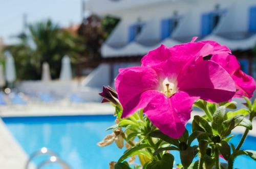 Aparthotel Hotel Boulas