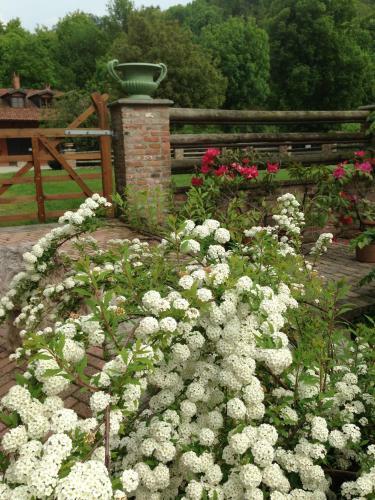Agroturismo B&B Il Quadrifoglio