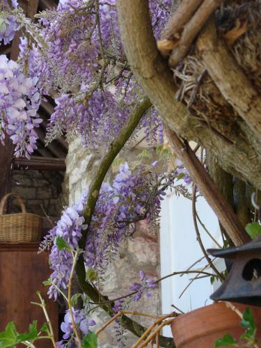 Bed & Breakfast La Maison de Madame Baudy