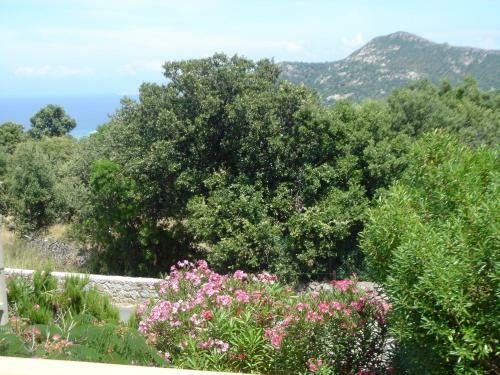 R�sidence Benista