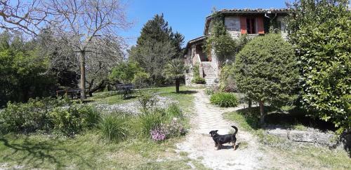 Agroturismo Agriturismo Valdichiascio