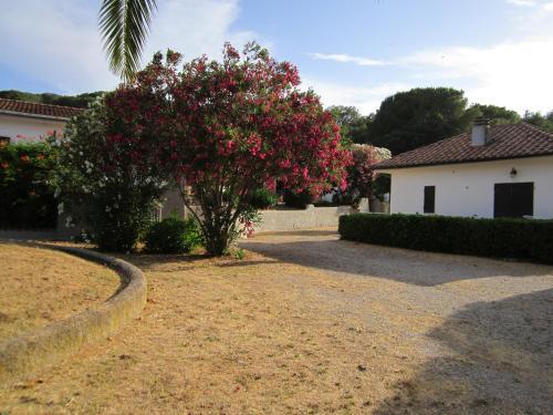 Apartamento Baia Azzurra