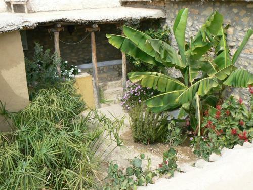 Bed & Breakfast Les Terrasses de L'atlas