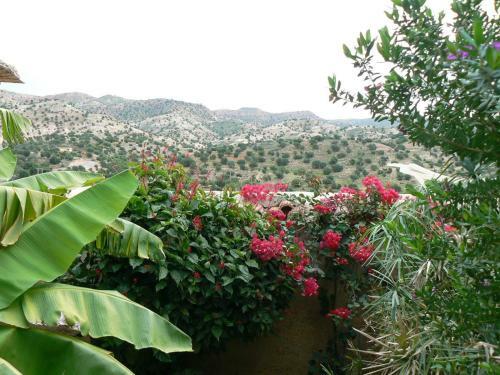 Bed & Breakfast Les Terrasses de L'atlas