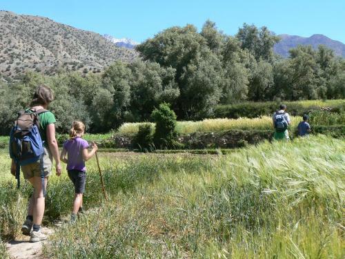 Bed & Breakfast Les Terrasses de L'atlas