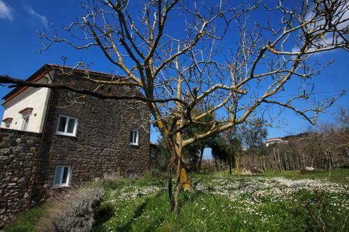 Agroturismo Agriturismo Le Tore