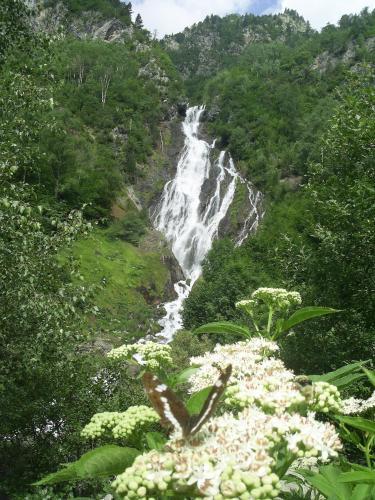 Ball Benas Apartamentos