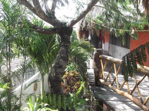 Hotel L.hotelito Tulum