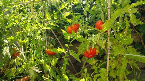 Hotel Villa Ortensia