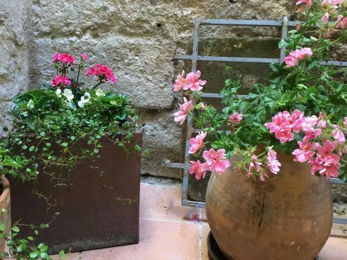 Apartamento Appartement Arles Centre Historique