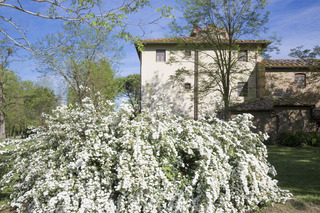 Apartamentos Borgo San Benedetto