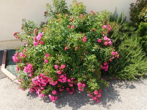 Hostal Chambres D'h�tes Les Terrasses de Fleurieux