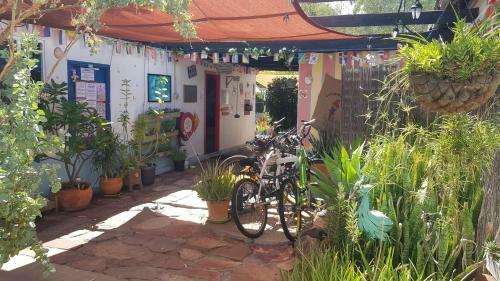 Albergue Alice's Secret Travellers Inn