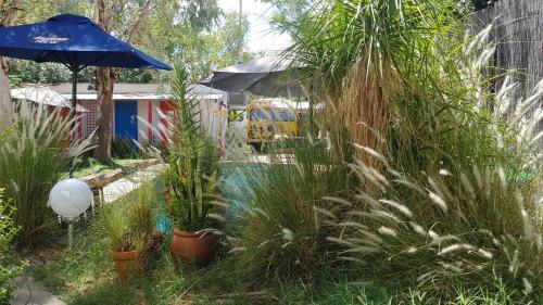 Albergue Alice's Secret Travellers Inn