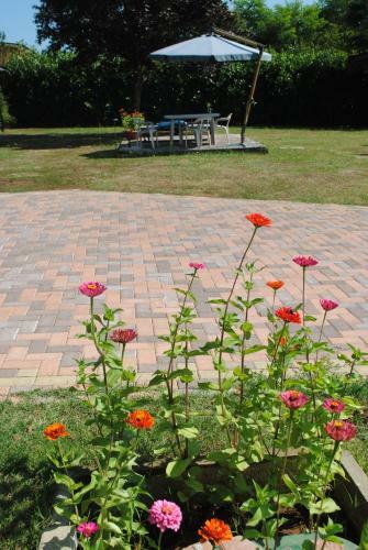 Agroturismo B&B Al Castagneto
