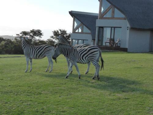 Agroturismo Jbay Zebra Lodge